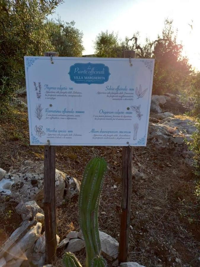 Le Capanne Di Villa Margherita Sonnino Экстерьер фото